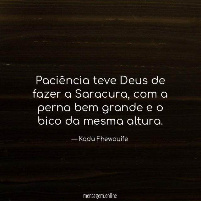 Paciência teve Deus de fazer a Saracura