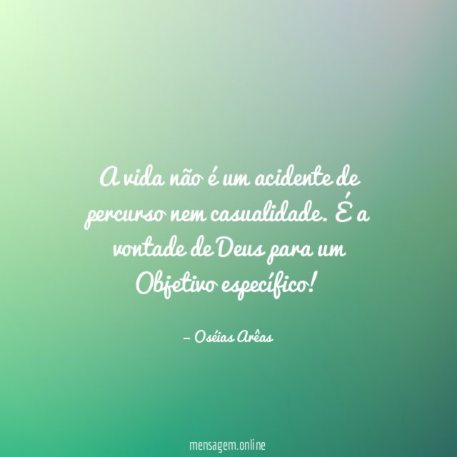 A vida não é um acidente de percurso nem casualidade