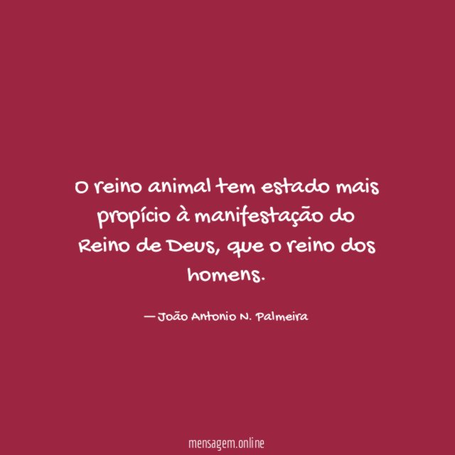 O reino animal tem estado mais propício à