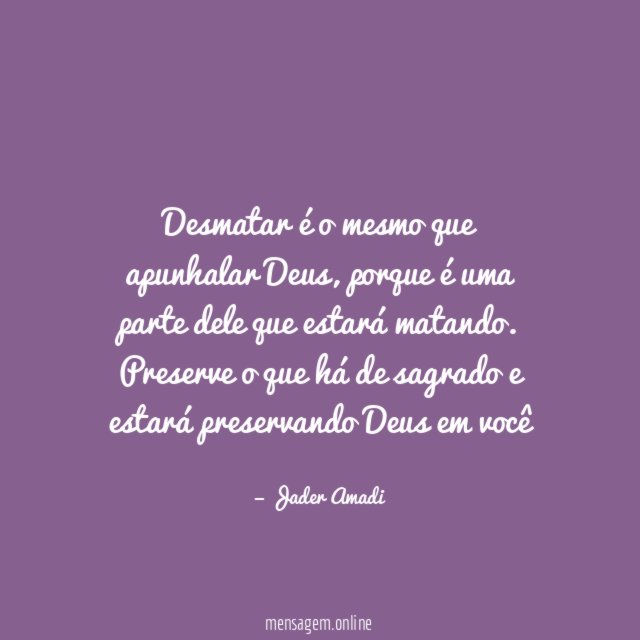 Desmatar é o mesmo que apunhalar Deus