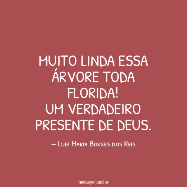 Muito linda essa árvore toda florida