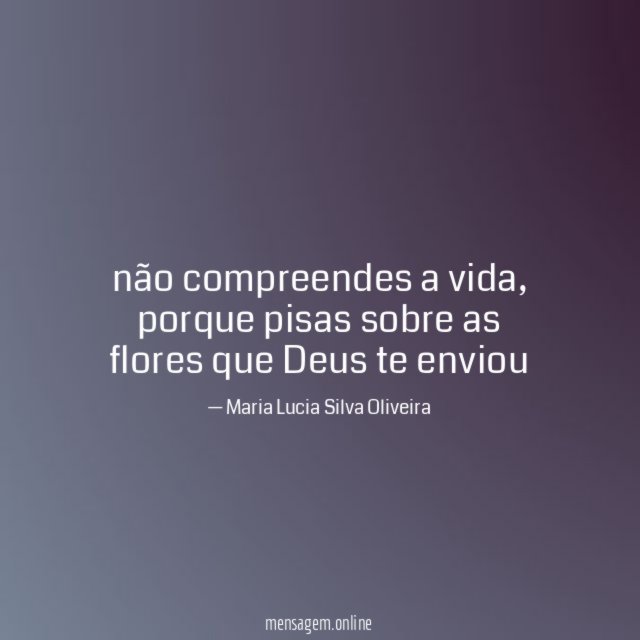 não compreendes a vida