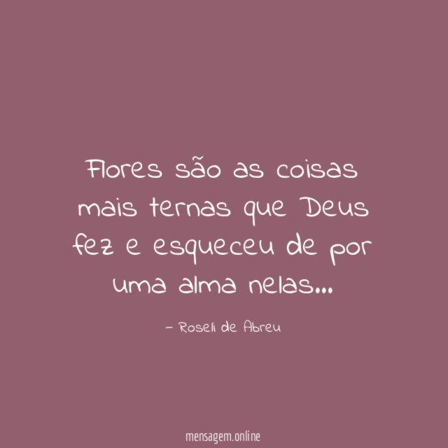 Flores são as coisas mais ternas que Deus