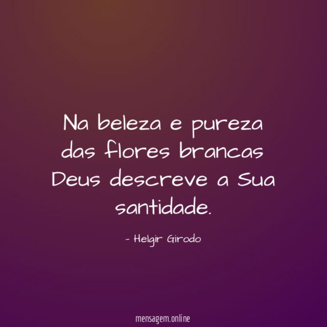 Na beleza e pureza das flores brancas Deus descreve a Sua santidade
