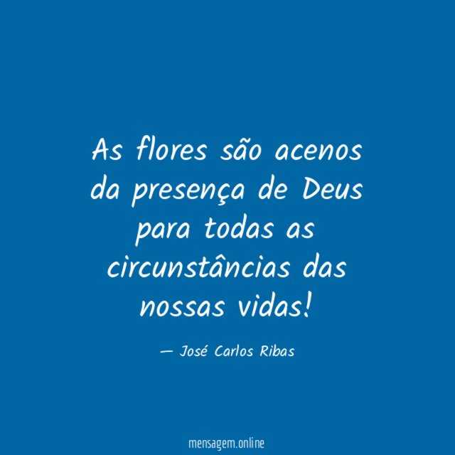 As flores são acenos da presença de Deus