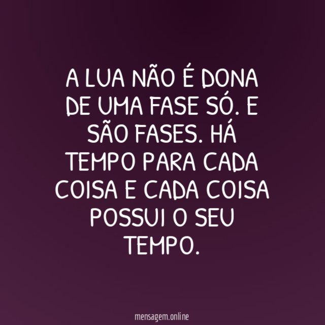 O tempo de cada coisa