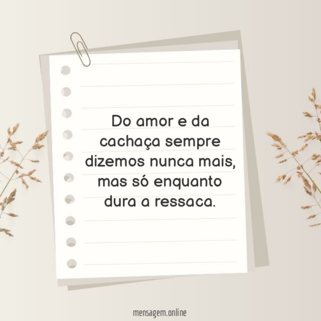 Do amor e da cachaça