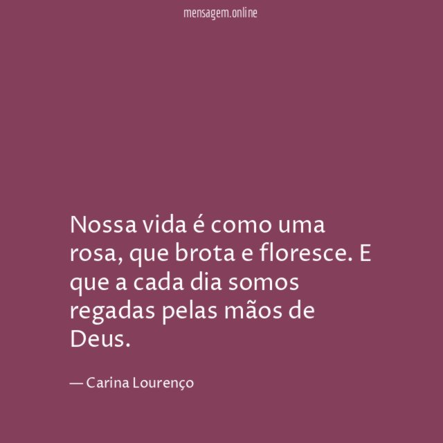 Nossa vida é como uma rosa