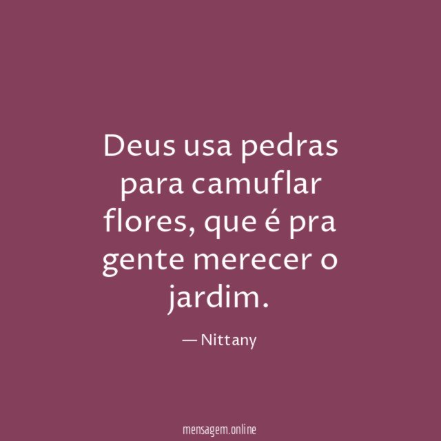 Deus usa pedras para camuflar flores