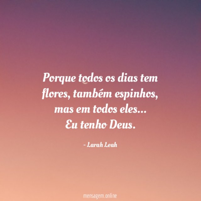 Porque todos os dias tem flores