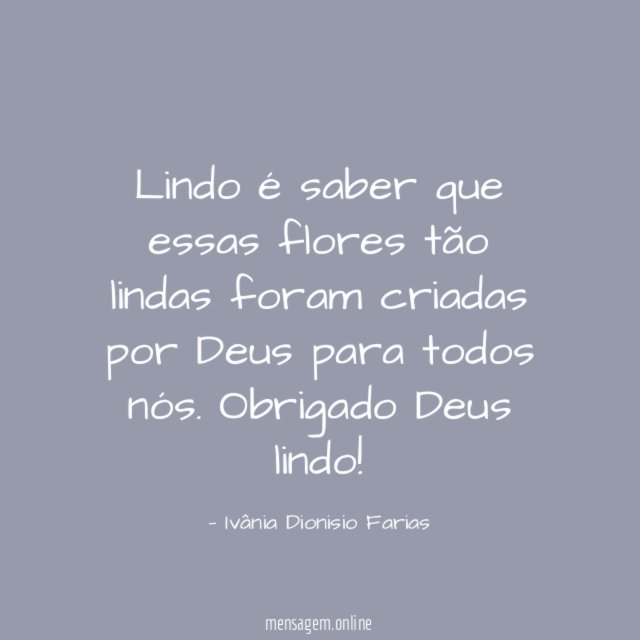 Lindo é saber que essas flores tão lindas