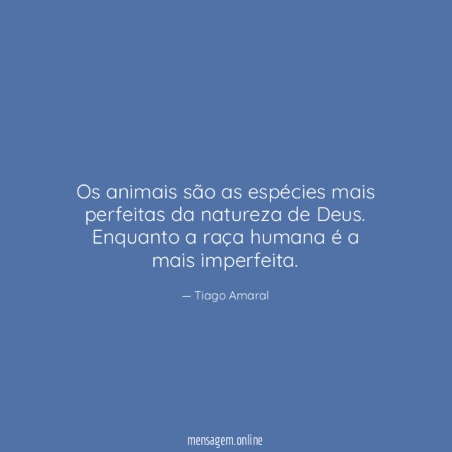 Os animais são as espécies mais perfeitas da