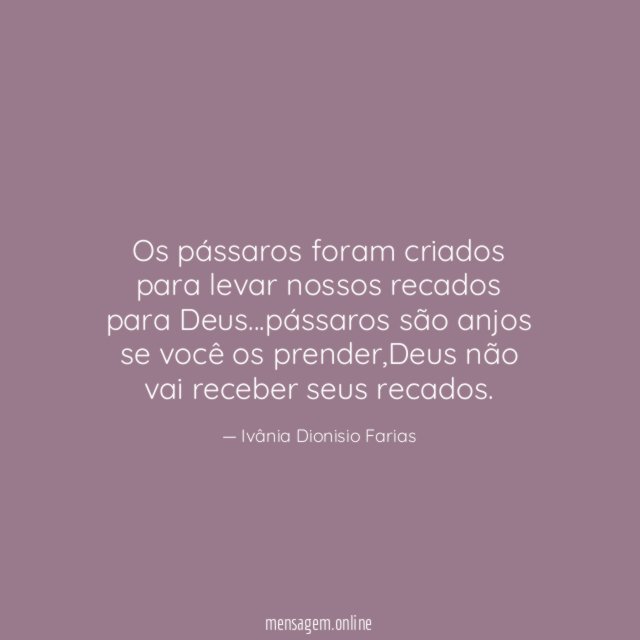 Os pássaros foram criados para levar nossos recados para Deus