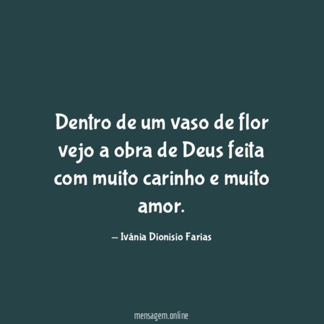 Dentro de um vaso de flor vejo a