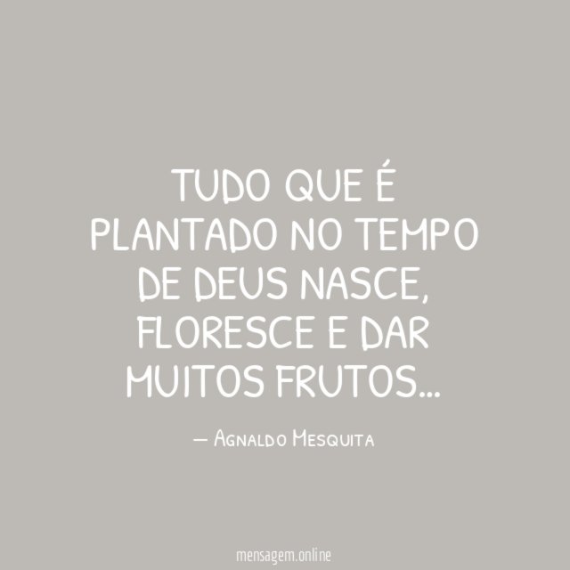 Tudo que é plantado no tempo de Deus nasce