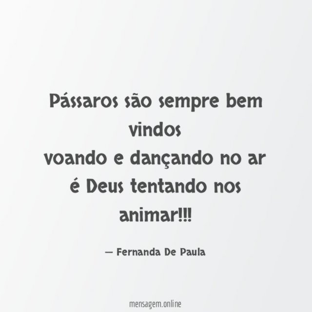 pássaros são sempre bem vindos voando e dançando no