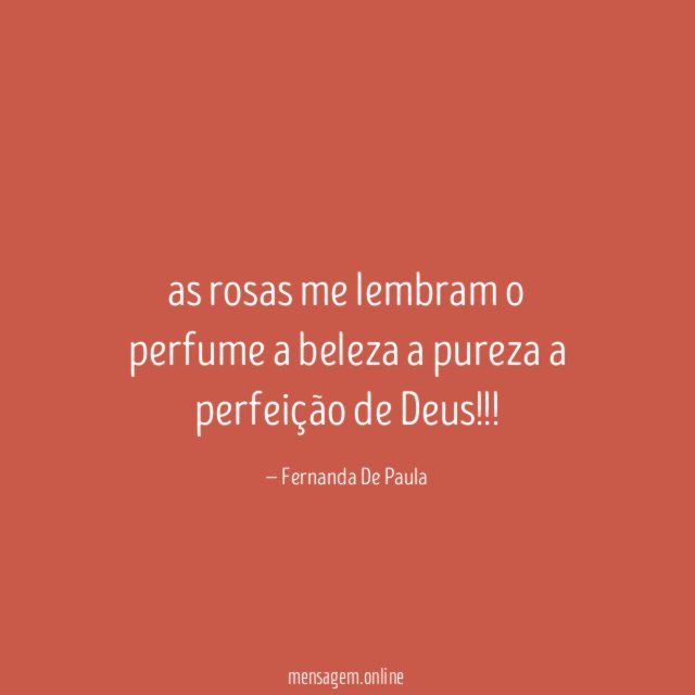 as rosas me lembram o perfume a beleza a pureza a perfeição de