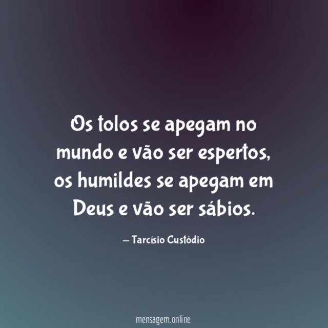 Os tolos se apegam no mundo e vão ser espertos