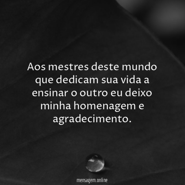 Aos mestres deste mundo que dedicam sua vida