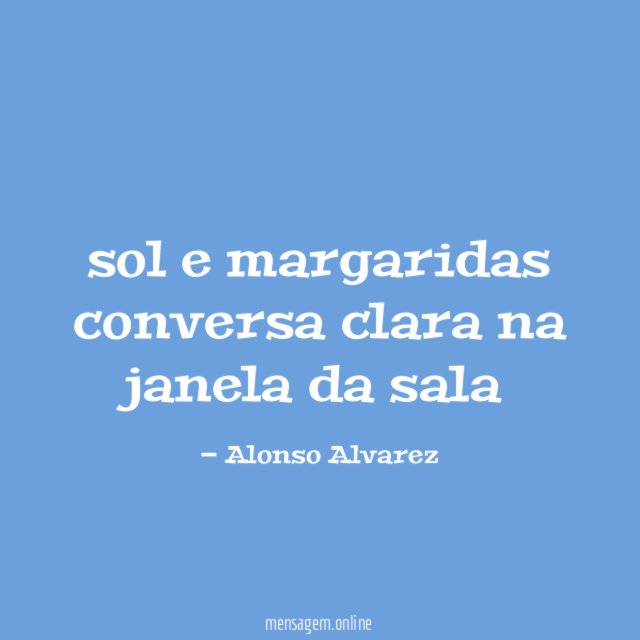 sol e margaridas conversa clara na janela da sala
