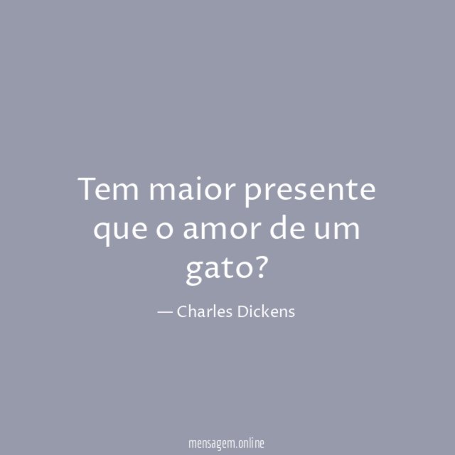Tem maior presente que o amor de um gato