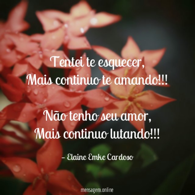 Tentei te esquecer