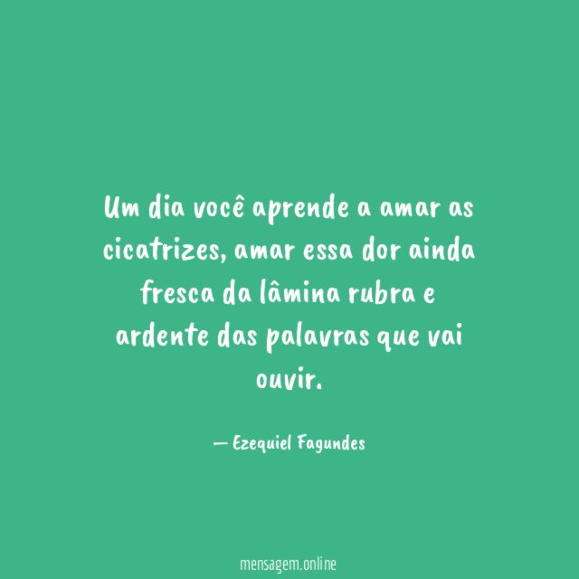 Um dia você aprende a amar as cicatrizes