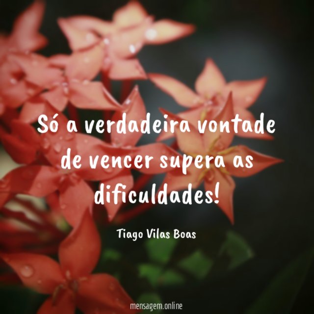 Só a verdadeira vontade de vencer supera as dificuldades
