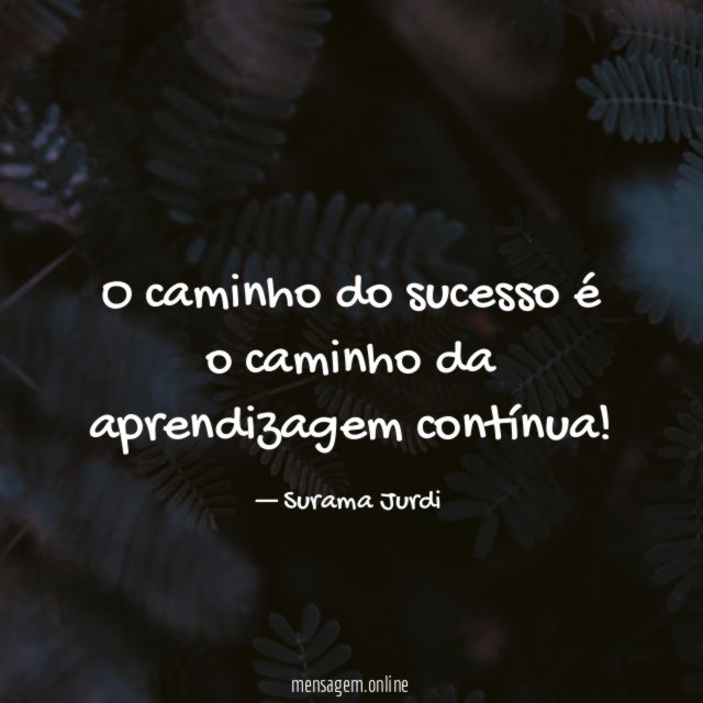O caminho do sucesso é o caminho da aprendizagem contínua