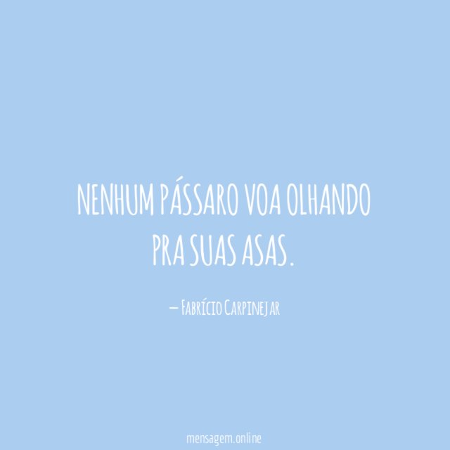 Nenhum pássaro voa olhando pra suas asas