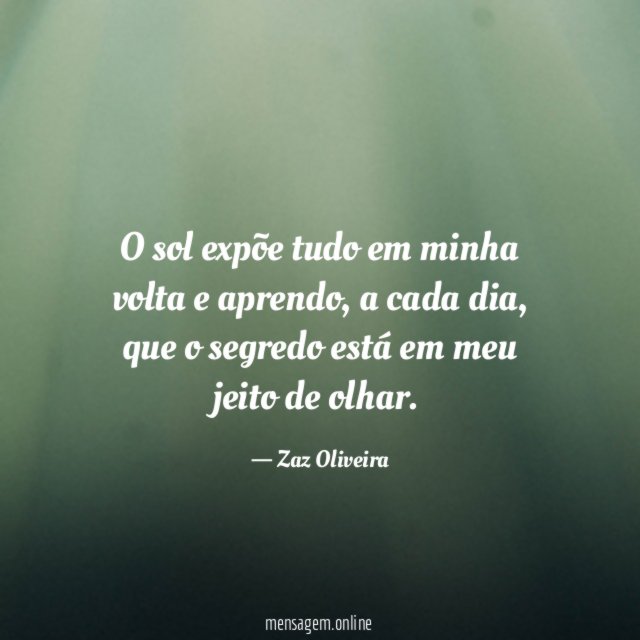 O sol expõe tudo em minha volta e aprendo