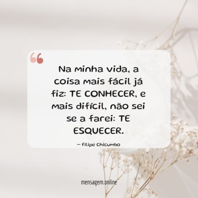 Na minha vida