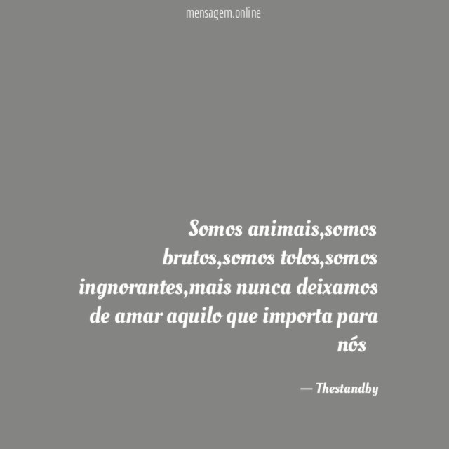 Somos animais