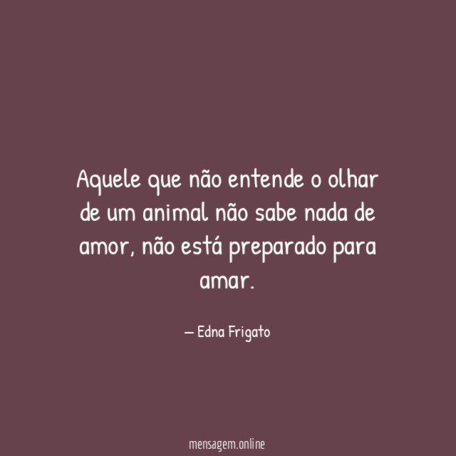 Aquele que não entende o olhar de um
