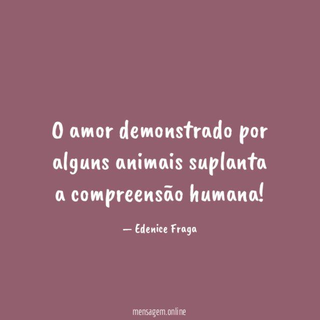 O amor demonstrado por alguns animais suplanta a compreensão humana