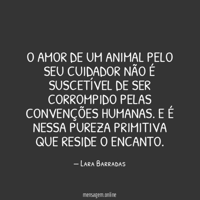 O amor de um animal pelo seu cuidador