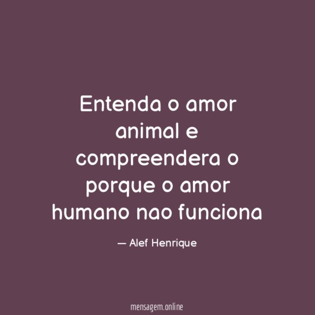 Entenda o amor animal e compreendera o porque