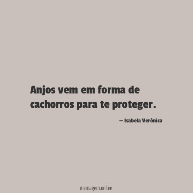 Anjos vem em forma de cachorros para te proteger