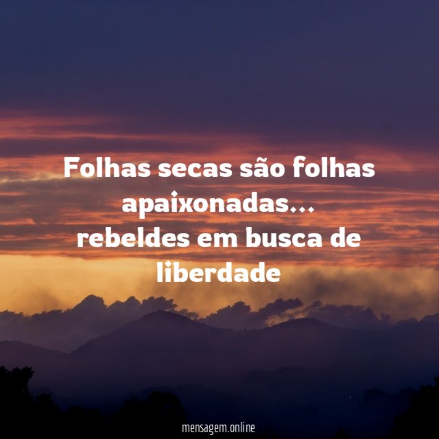 Folhas secas são folhas apaixonadas