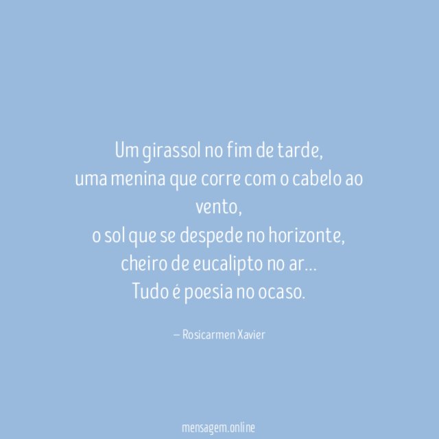 Um girassol no fim de tarde