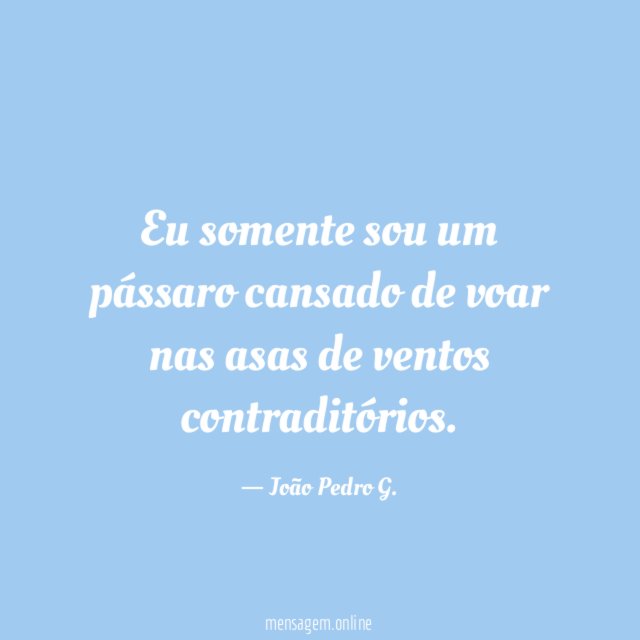 Eu somente sou um pássaro cansado de voar