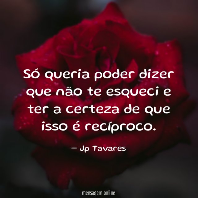 Só queria poder dizer que não te esqueci