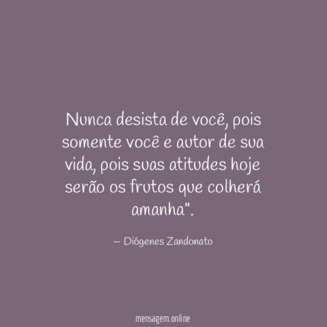 Nunca desista de você