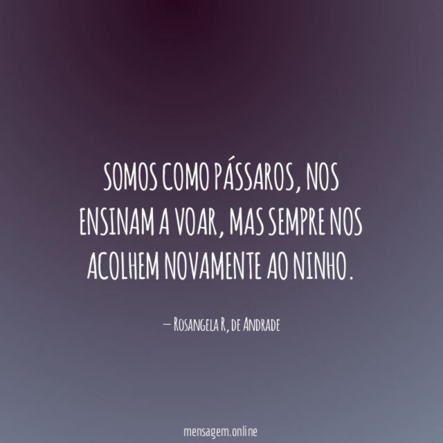 Somos como pássaros