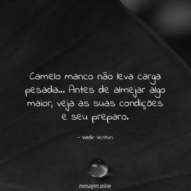 Camelo manco não leva carga pesada