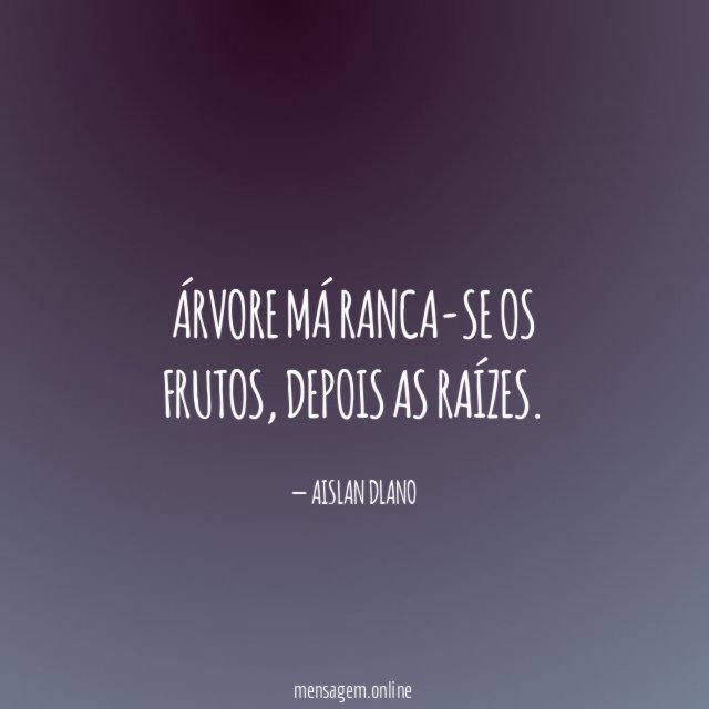 Árvore má ranca-se os frutos