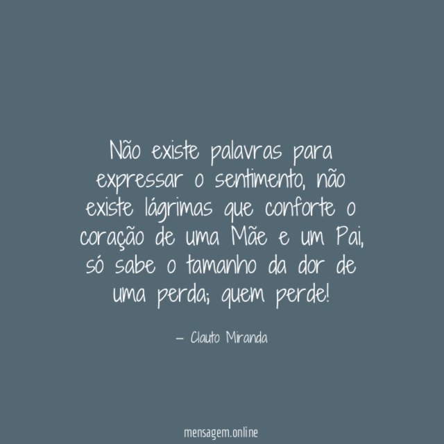 Não existe palavras para expressar o sentimento