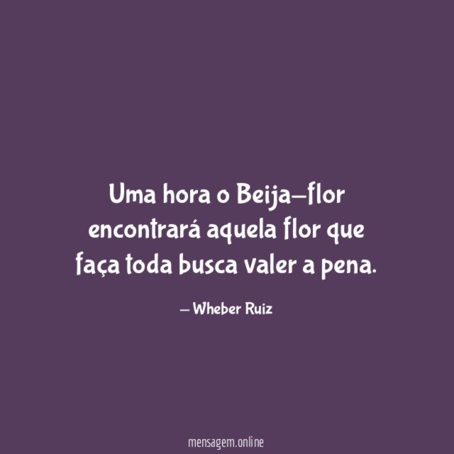 Uma hora o Beija-flor encontrará aquela flor que