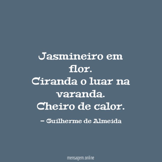 Jasmineiro em flor