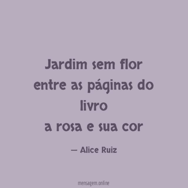 jardim sem flor entre as páginas do livro a rosa